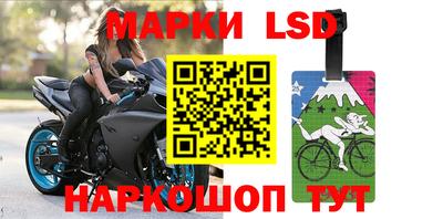 МДПВ Новозыбков