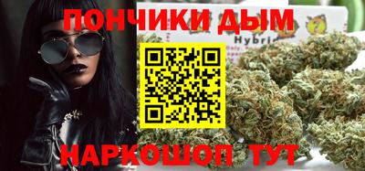 МДПВ Новозыбков