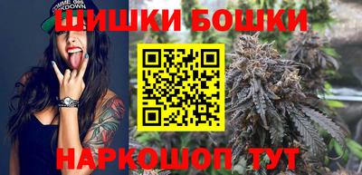 МДПВ Новозыбков