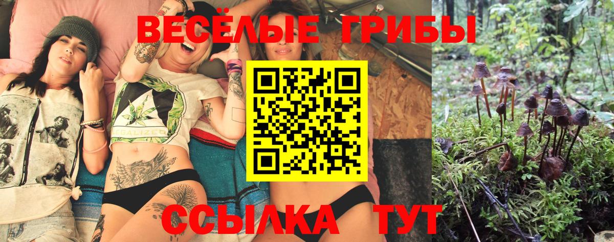 Где купить  Тольятти  Кокаин  Конопля  Меф МЯУ МЯУ кристаллы  Вход с VPN  ГАШ  МДМА 