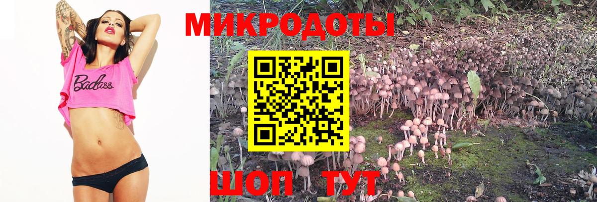 Тольятти  Псилоцибиновые грибы GOLDEN TEACHER  Вход с VPN 