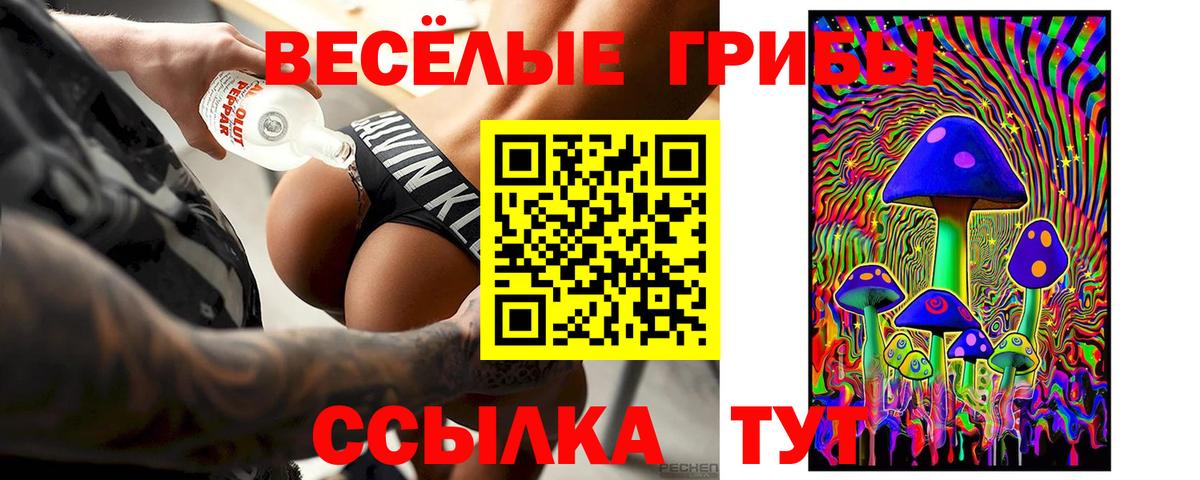Галлюциногенные грибы Psilocybe Тольятти